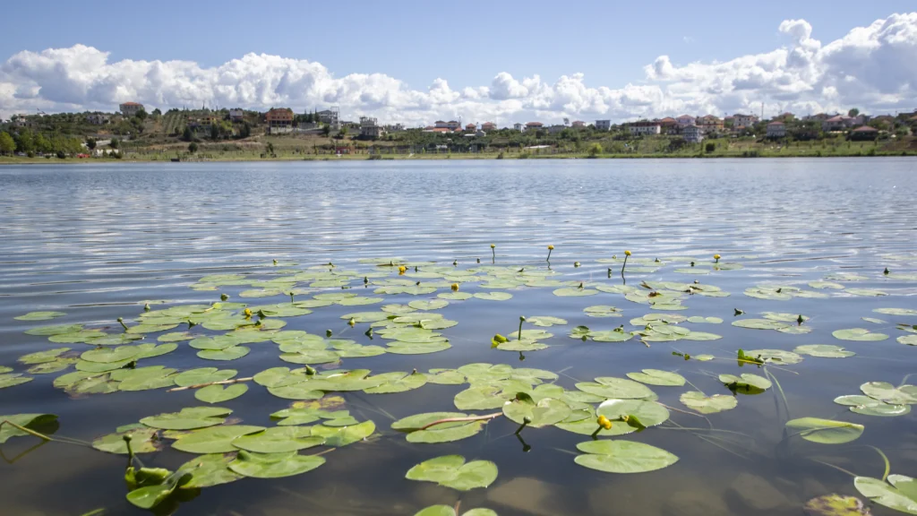 Visit Belsh Belsh Lake